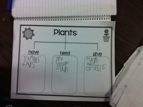 Plant Chart 5